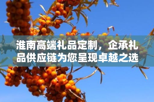 淮南高端礼品定制，企承礼品供应链为您呈现卓越之选