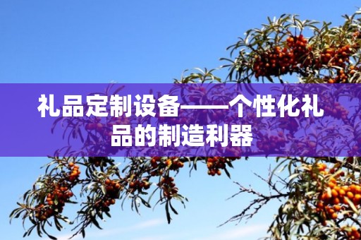礼品定制设备——个性化礼品的制造利器